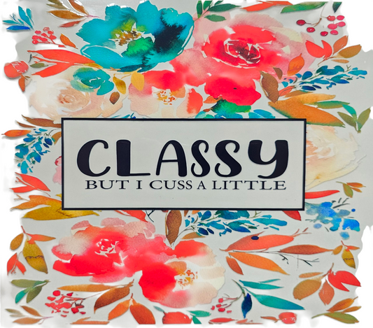 Classy But I Cuss a Little 20 oz Tumbler