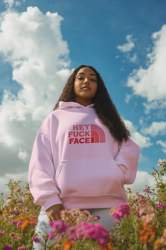 Hey Fuck Face Hoodie