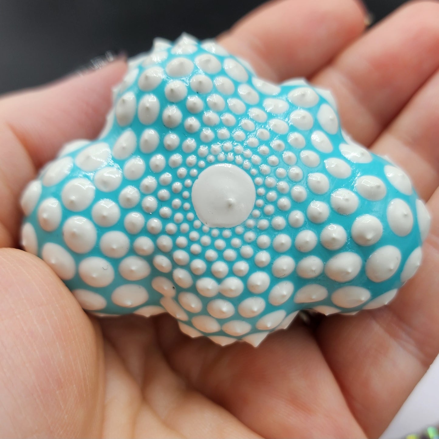 Celina Miller Art - Teal and White Mandala Cloud Palm stone