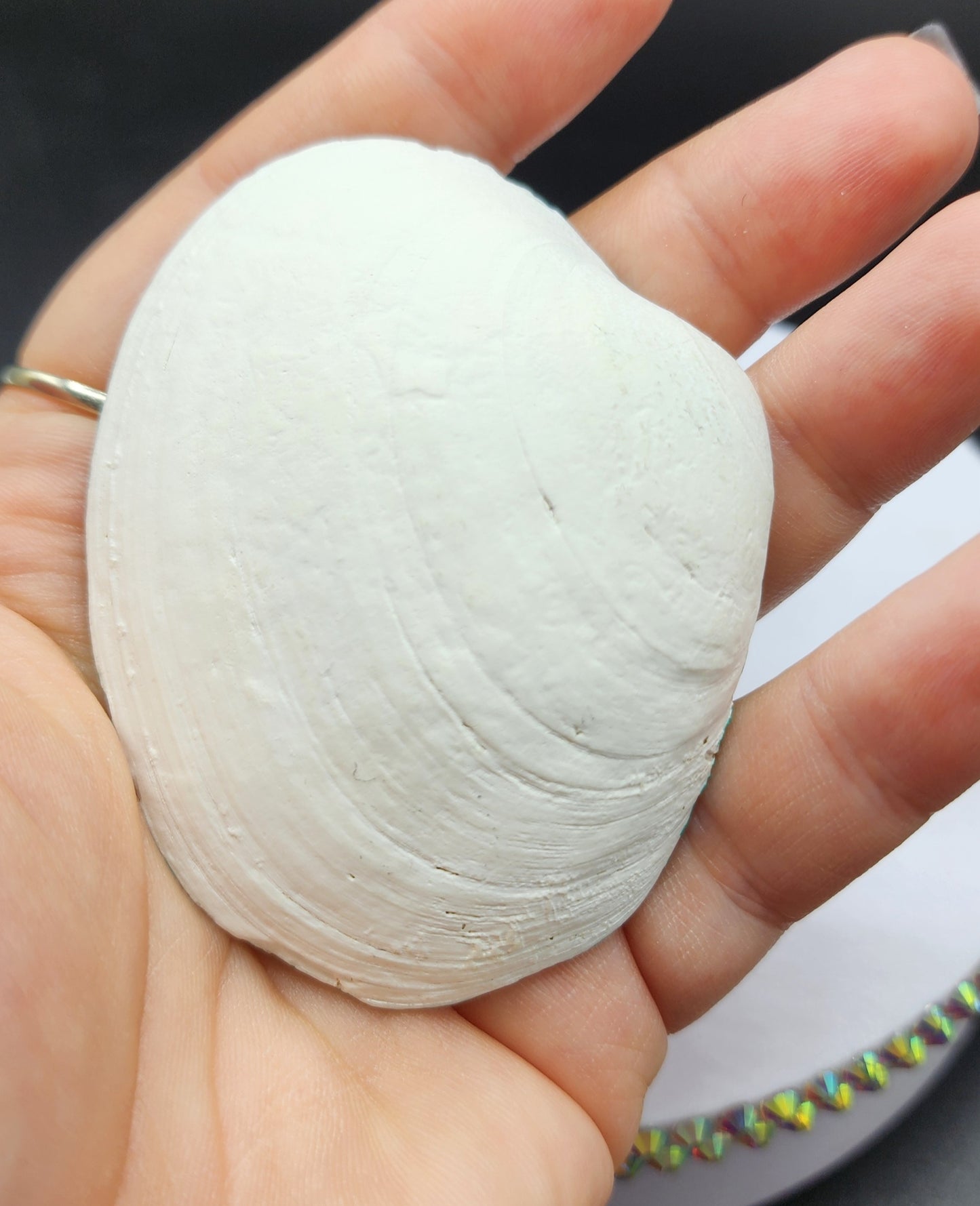 Celina Miller Art - Painted Seashell