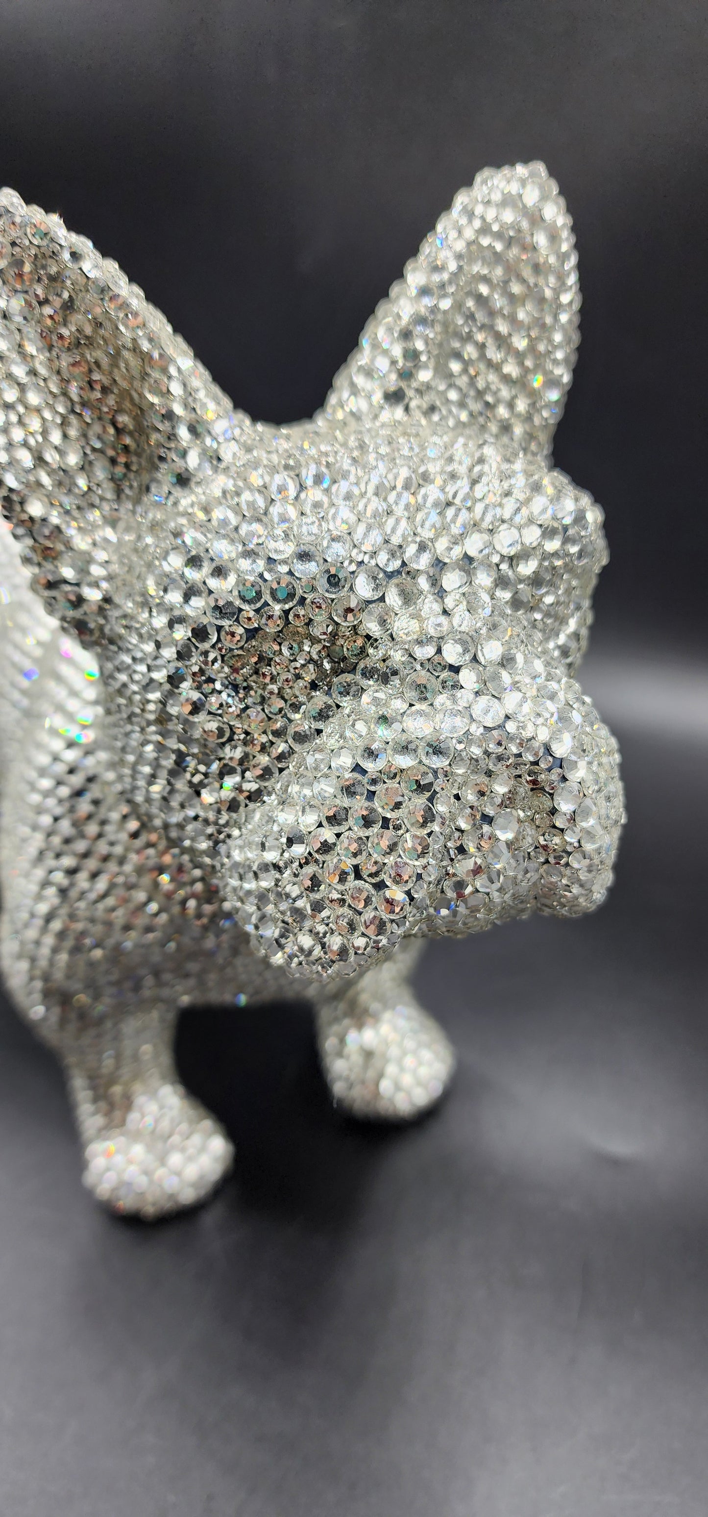 Celina Miller Art - Bling French Bulldog