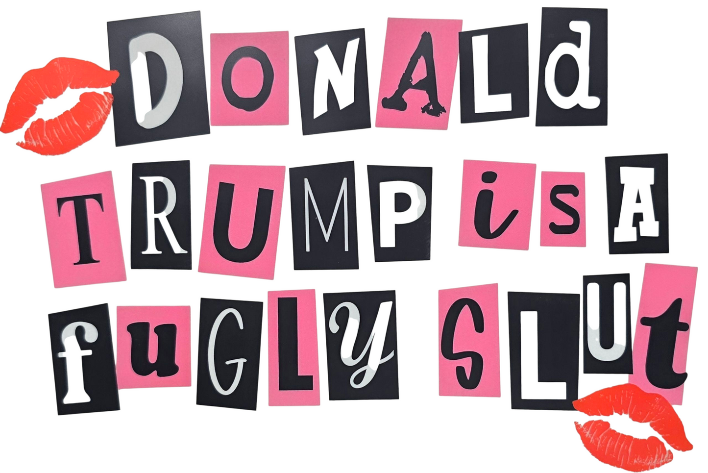 Donald Trump is a Fugly Slut Hoodie