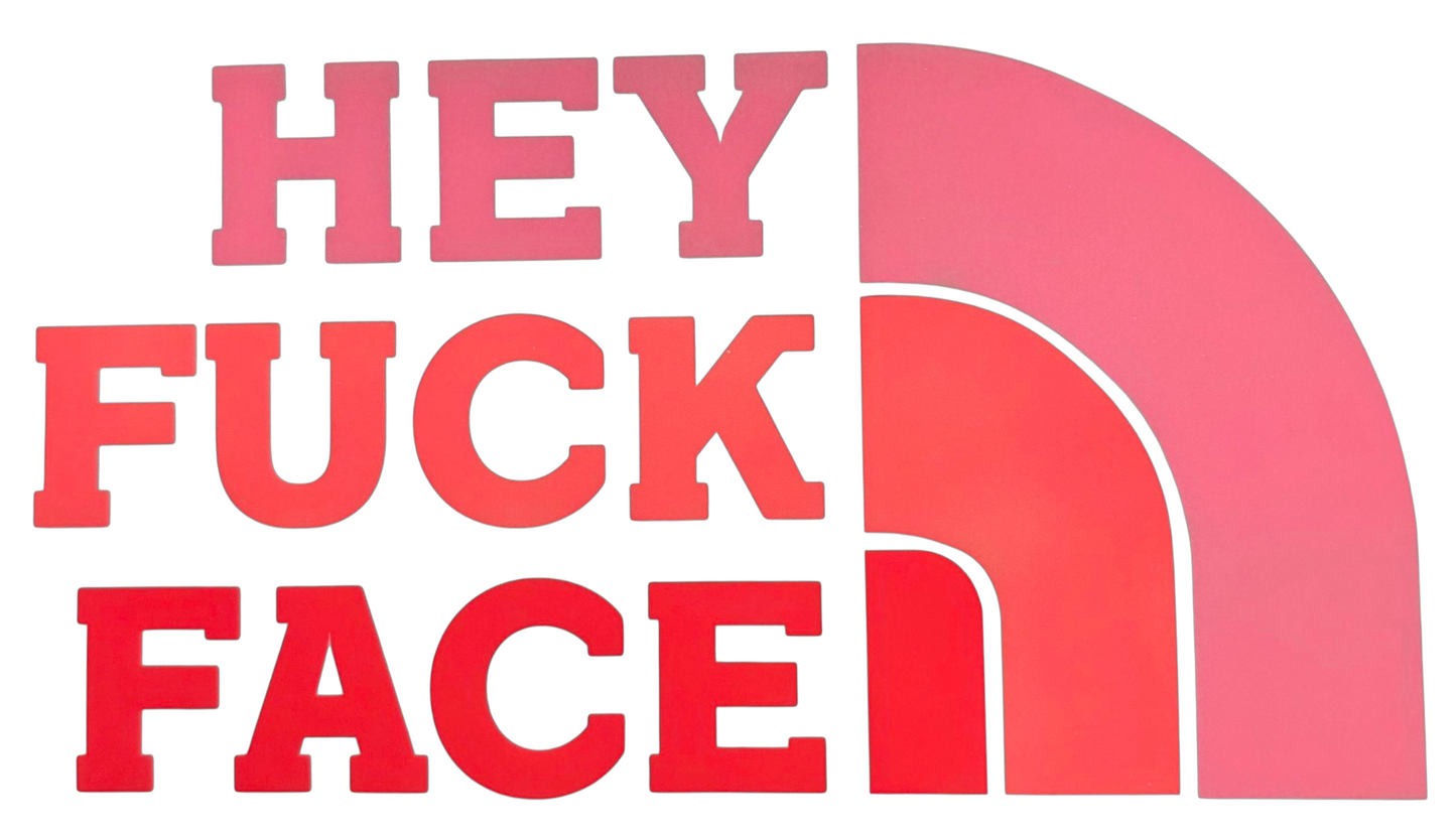 Hey Fuck Face Hoodie